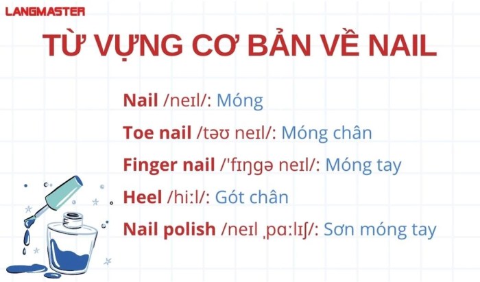 Nail exam 900 tiếng việt