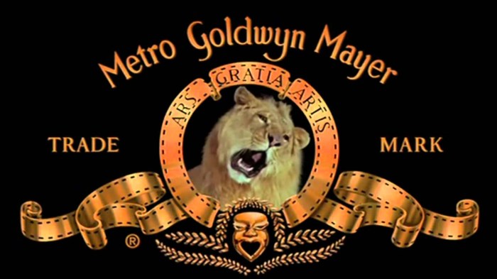 Cable channel that airs old mgm films