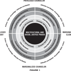 Multicultural and social justice counseling competencies