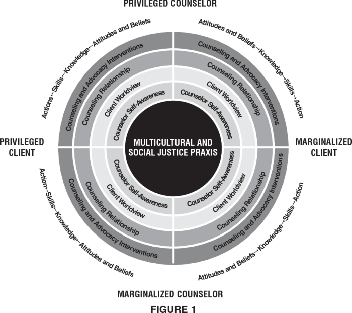 Multicultural and social justice counseling competencies