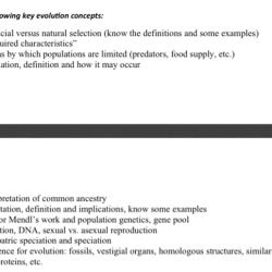 Natural and artificial selection gizmo answer key